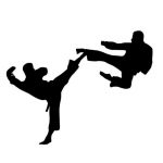 Kartun karate. Foto: Ilustrasi.