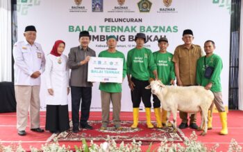 Balai Ternak BAZNAS di Sleman Targetkan Kemandirian Ekonomi. ft dok. baznas