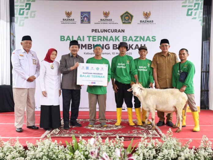 Balai Ternak BAZNAS di Sleman Targetkan Kemandirian Ekonomi. ft dok. baznas