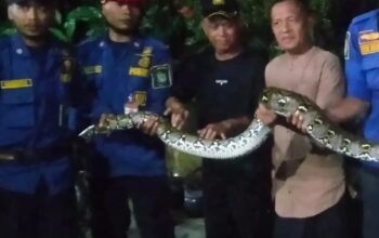 BPBD Kota Tangerang Siaga 24 Jam Selama Libur Lebaran, Layani 34 Pengaduan