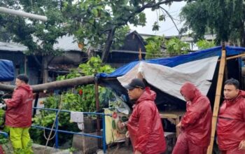 Amankan Arus Balik Lebaran, Disbudpar Kota Tangerang Siagakan Petugas Penanganan Pohon Tumbang