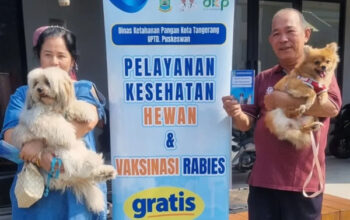 Antusiasme Tinggi, Vaksinasi Rabies Gratis Pemkot Tangerang Diserbu Pecinta Hewan