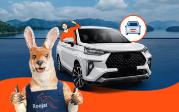 artwork. dok. roojai