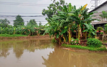 Tragis! Bayi Perempuan Ditemukan Tak Bernyawa di Bendungan Polor Kali Angke