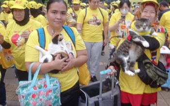 foto dok. channelsatu.com