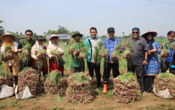 foto dok. diskominfo tangkot