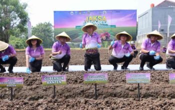 Jaksa Agung Muda Intelijen Kejaksaan Agung RI, Prof. Dr. Reda Manthovani