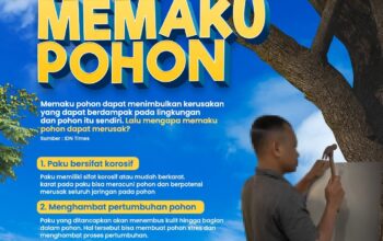 Pemkot Tangerang Ingatkan Warga: Memaku Pohon Bisa Didenda hingga Rp50 Juta