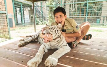 foto dok. alshad ahmad