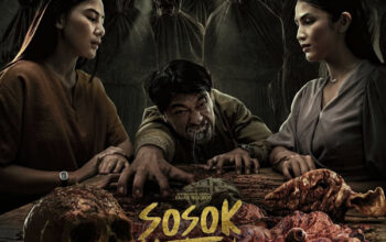 artwork dok. leo pictures