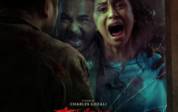 artwork dk. magma entertainment