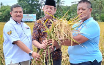 Wali Kota Cilegon: Gotong Royong Kunci Maju Sektor Pertanian