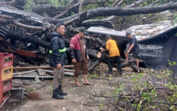 Pohon Tumbang Dekat Balekota, Warga Diingatkan Waspadai Cuaca Ekstrem