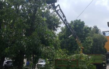 Pemkot Tangerang Intensifkan Pemangkasan Pohon Hadapi Cuaca Ekstrem