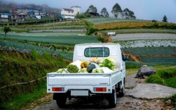 Suzuki New Carry Dominasi Pasar Kendaraan Niaga, Kontribusi Capai 56% dari Total Penjualandi segmen LCV (Light Commercial Vehicle)