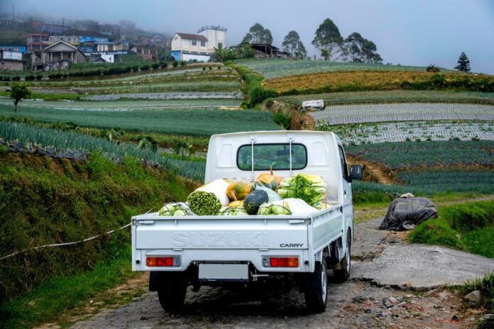 Suzuki New Carry Dominasi Pasar Kendaraan Niaga, Kontribusi Capai 56% dari Total Penjualandi segmen LCV (Light Commercial Vehicle)