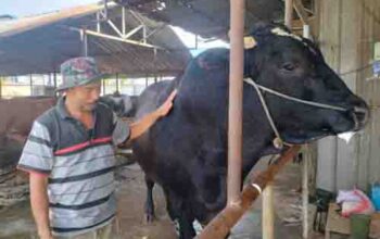 foto dok. diskominfo kota tng